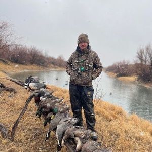 Meet your Posher, Chase